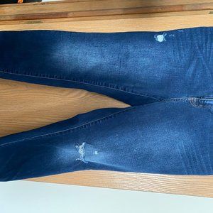 Lane Bryant Destroyed Dark wash Jeans